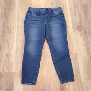 Kaari Denim Jeggings size 14 petite skinny fit